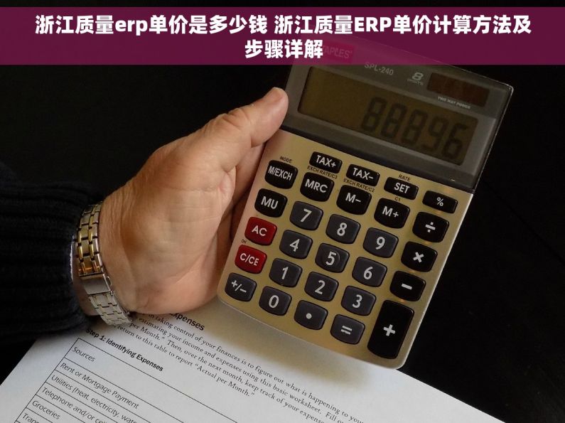 浙江质量erp单价是多少钱 浙江质量ERP单价计算方法及步骤详解