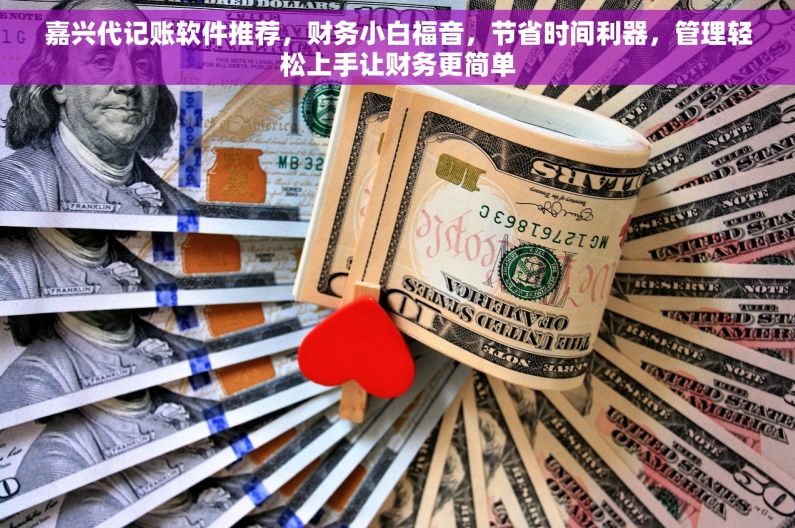 嘉兴代记账软件推荐，财务小白福音，节省时间利器，管理轻松上手让财务更简单