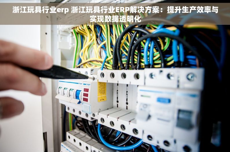 浙江玩具行业erp 浙江玩具行业ERP解决方案：提升生产效率与实现数据透明化