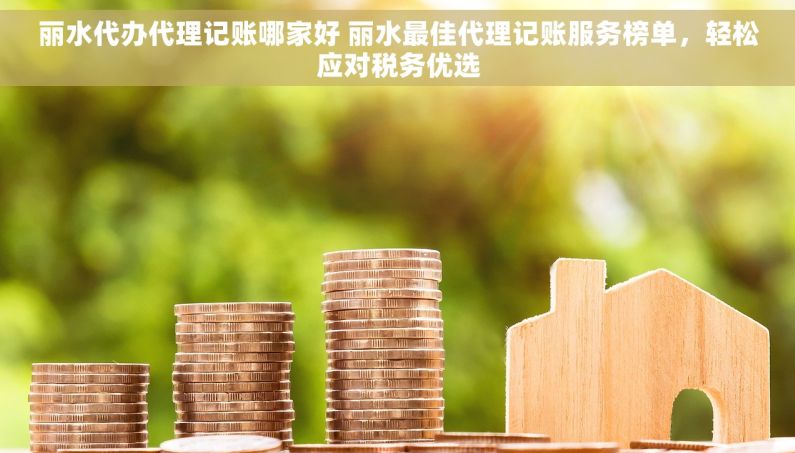 丽水代办代理记账哪家好 丽水最佳代理记账服务榜单，轻松应对税务优选