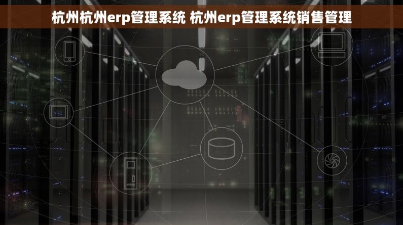 杭州杭州erp管理系统 杭州erp管理系统销售管理
