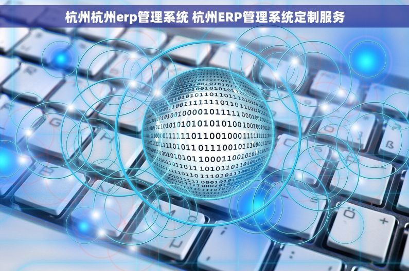 杭州杭州erp管理系统 杭州ERP管理系统定制服务