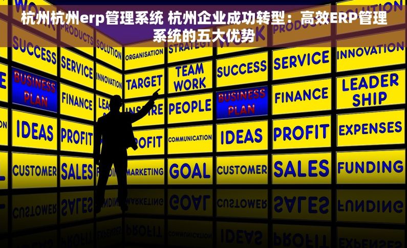 杭州杭州erp管理系统 杭州企业成功转型：高效ERP管理系统的五大优势