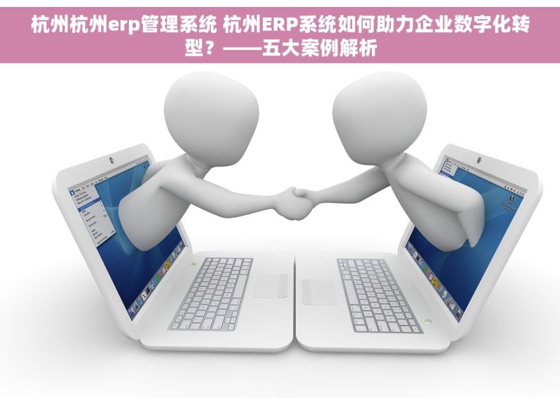 杭州杭州erp管理系统 杭州ERP系统如何助力企业数字化转型？——五大案例解析