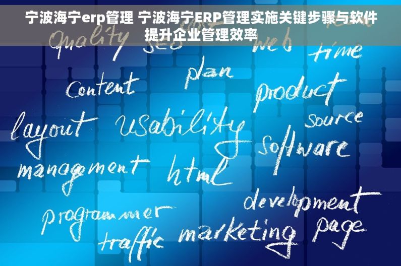宁波海宁erp管理 宁波海宁ERP管理实施关键步骤与软件提升企业管理效率