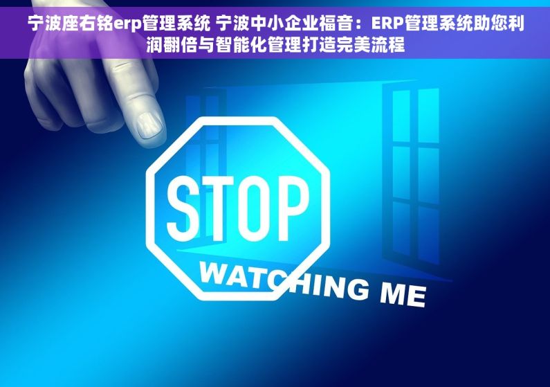 宁波座右铭erp管理系统 宁波中小企业福音：ERP管理系统助您利润翻倍与智能化管理打造完美流程