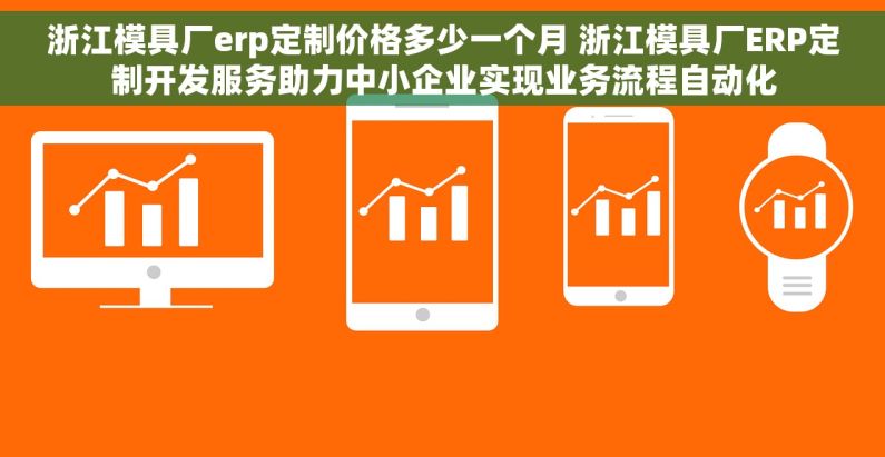 浙江模具厂erp定制价格多少一个月 浙江模具厂ERP定制开发服务助力中小企业实现业务流程自动化