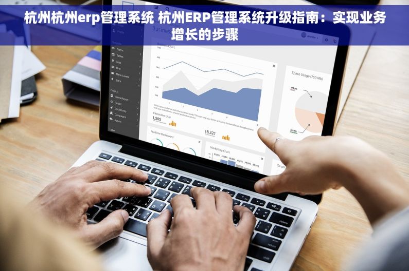 杭州杭州erp管理系统 杭州ERP管理系统升级指南：实现业务增长的步骤