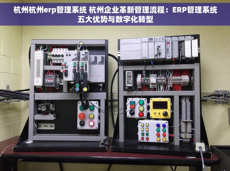 杭州杭州erp管理系统 杭州企业革新管理流程：ERP管理系统五大优势与数字化转型