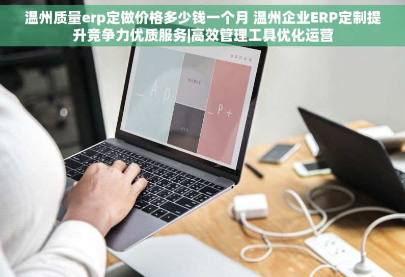 温州质量erp定做价格多少钱一个月 温州企业ERP定制提升竞争力优质服务|高效管理工具优化运营