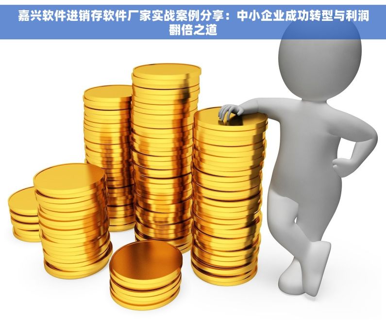 嘉兴软件进销存软件厂家实战案例分享：中小企业成功转型与利润翻倍之道