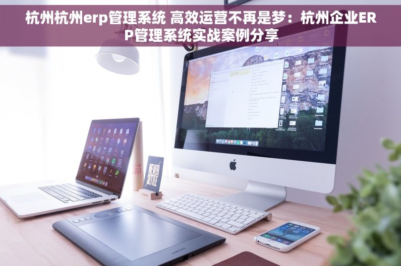 杭州杭州erp管理系统 高效运营不再是梦：杭州企业ERP管理系统实战案例分享