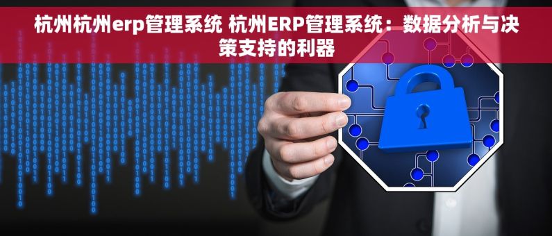 杭州杭州erp管理系统 杭州ERP管理系统：数据分析与决策支持的利器