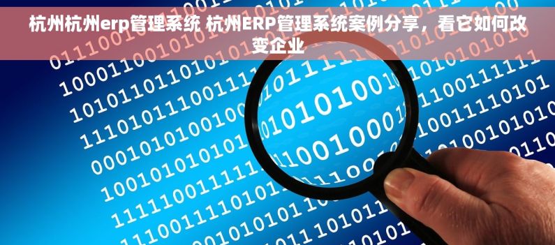 杭州杭州erp管理系统 杭州ERP管理系统案例分享，看它如何改变企业