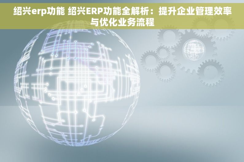 绍兴erp功能 绍兴ERP功能全解析：提升企业管理效率与优化业务流程