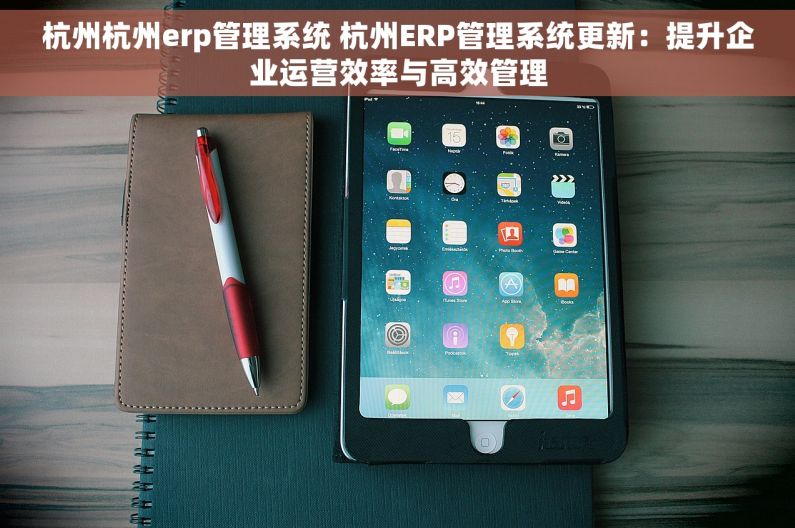 杭州杭州erp管理系统 杭州ERP管理系统更新：提升企业运营效率与高效管理