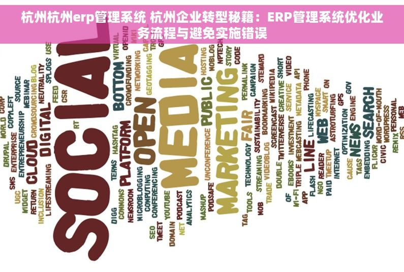 杭州杭州erp管理系统 杭州企业转型秘籍：ERP管理系统优化业务流程与避免实施错误