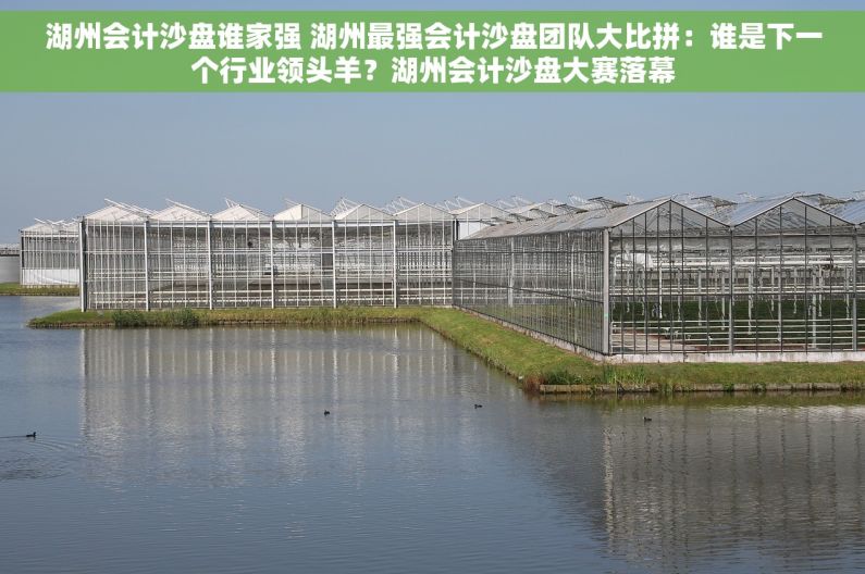 湖州会计沙盘谁家强 湖州最强会计沙盘团队大比拼：谁是下一个行业领头羊？湖州会计沙盘大赛落幕