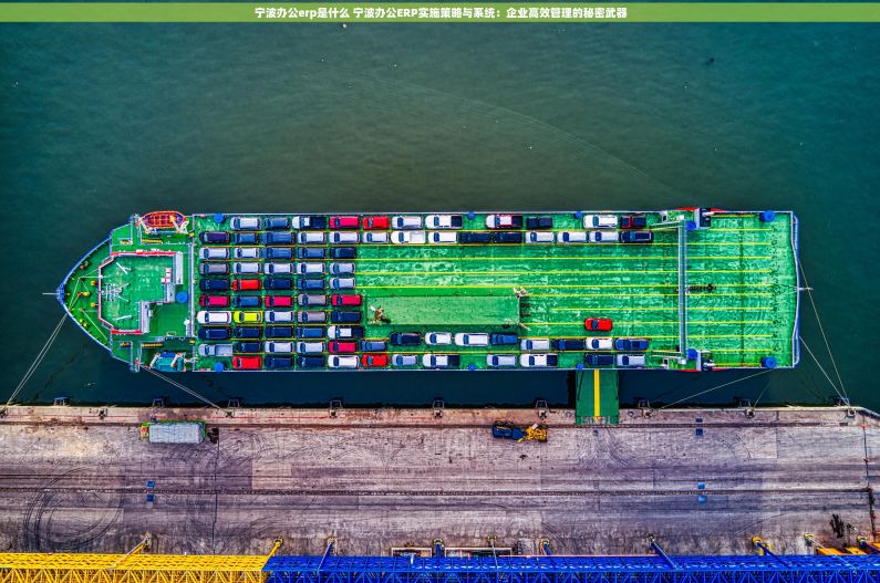 宁波办公erp是什么 宁波办公ERP实施策略与系统：企业高效管理的秘密武器