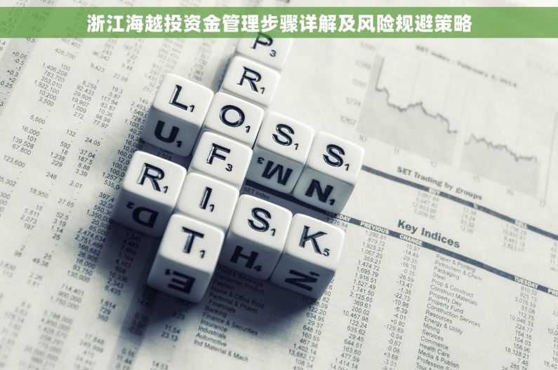 浙江海越投资金管理步骤详解及风险规避策略