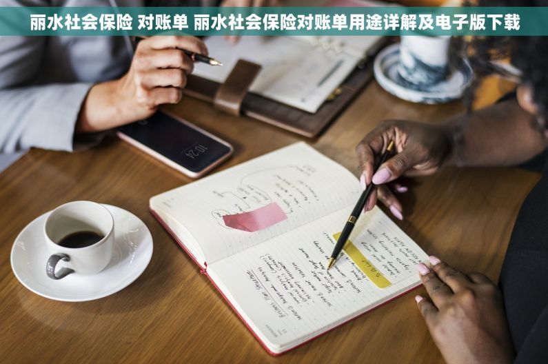 丽水社会保险 对账单 丽水社会保险对账单用途详解及电子版下载
