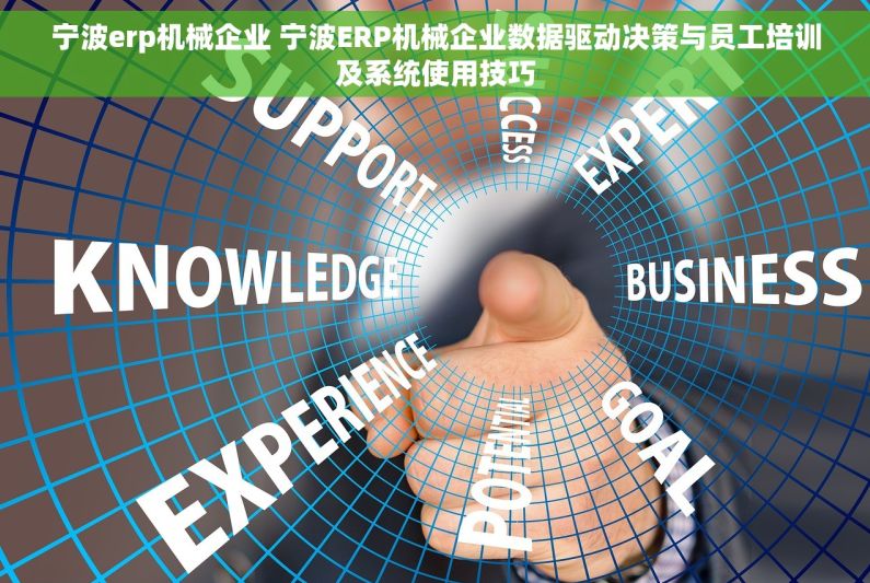 宁波erp机械企业 宁波ERP机械企业数据驱动决策与员工培训及系统使用技巧