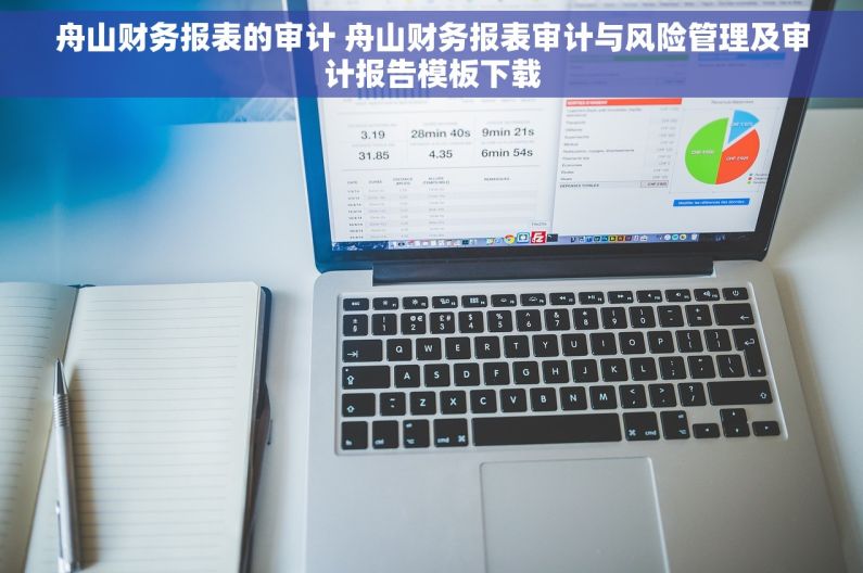 舟山财务报表的审计 舟山财务报表审计与风险管理及审计报告模板下载
