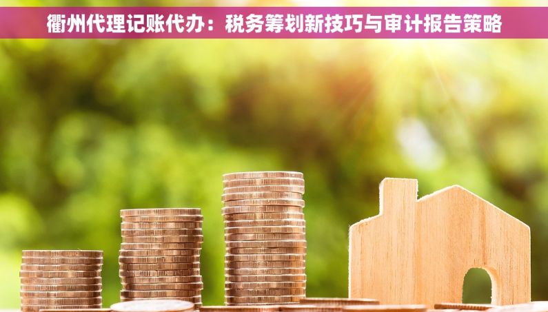 衢州代理记账代办：税务筹划新技巧与审计报告策略