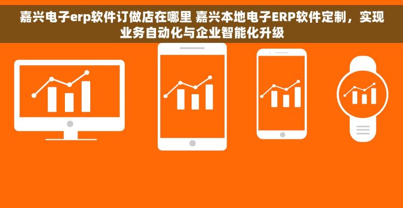 嘉兴电子erp软件订做店在哪里 嘉兴本地电子ERP软件定制，实现业务自动化与企业智能化升级