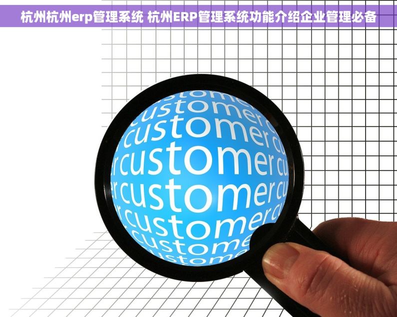 杭州杭州erp管理系统 杭州ERP管理系统功能介绍企业管理必备