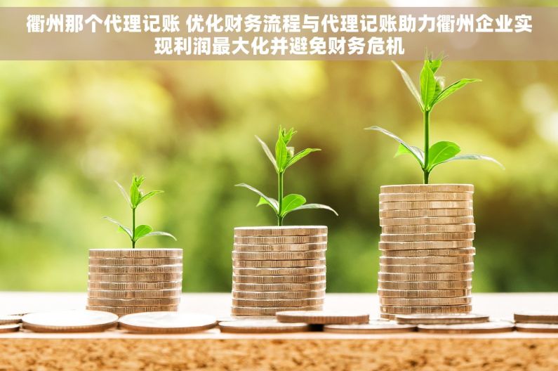 衢州那个代理记账 优化财务流程与代理记账助力衢州企业实现利润最大化并避免财务危机