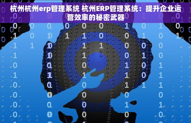 杭州杭州erp管理系统 杭州ERP管理系统：提升企业运营效率的秘密武器