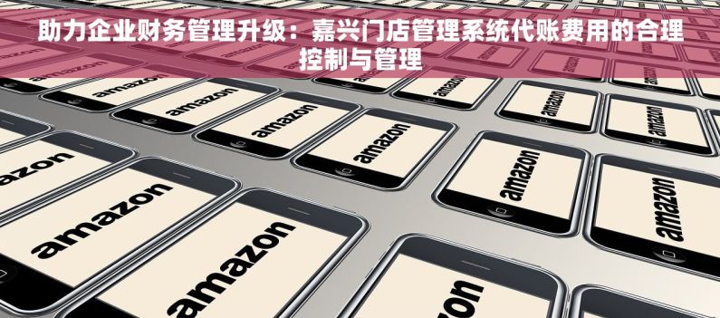 助力企业财务管理升级：嘉兴门店管理系统代账费用的合理控制与管理