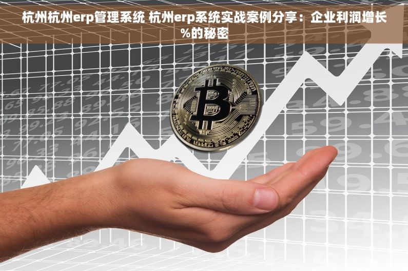 杭州杭州erp管理系统 杭州erp系统实战案例分享：企业利润增长%的秘密