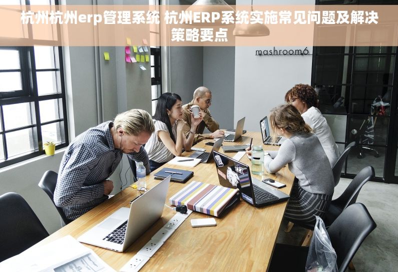 杭州杭州erp管理系统 杭州ERP系统实施常见问题及解决策略要点