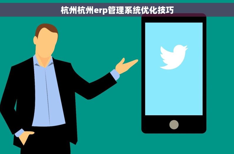 杭州杭州erp管理系统优化技巧