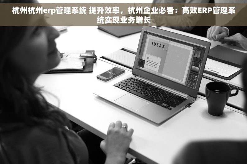 杭州杭州erp管理系统 提升效率，杭州企业必看：高效ERP管理系统实现业务增长