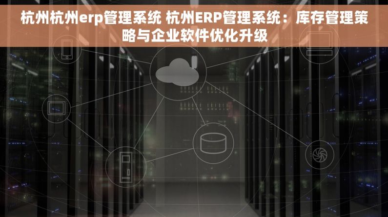 杭州杭州erp管理系统 杭州ERP管理系统：库存管理策略与企业软件优化升级