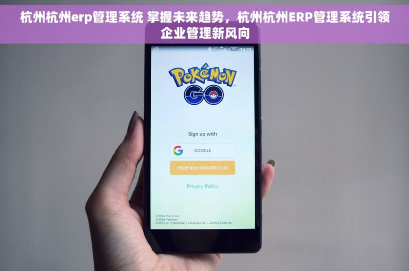 杭州杭州erp管理系统 掌握未来趋势，杭州杭州ERP管理系统引领企业管理新风向