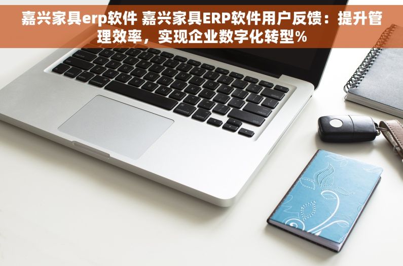 嘉兴家具erp软件 嘉兴家具ERP软件用户反馈：提升管理效率，实现企业数字化转型%