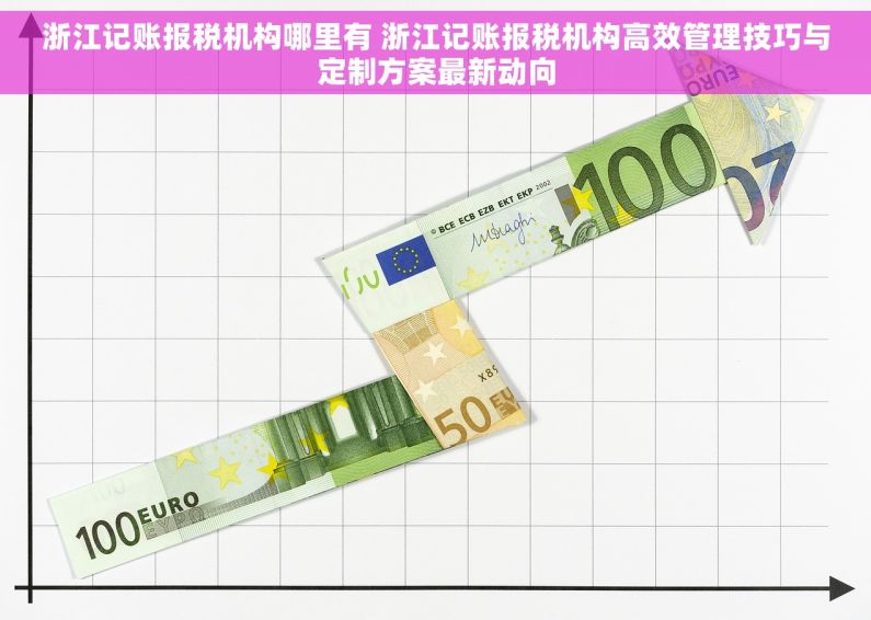浙江记账报税机构哪里有 浙江记账报税机构高效管理技巧与定制方案最新动向