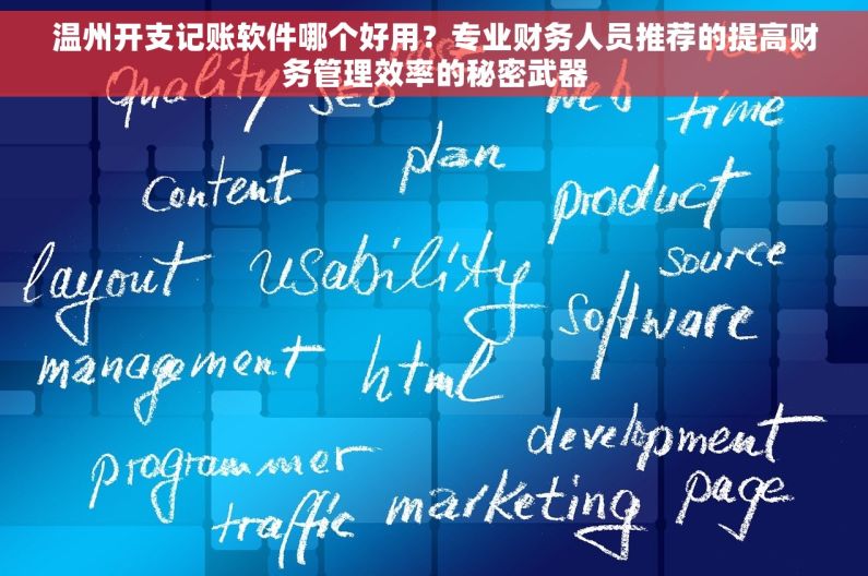 温州开支记账软件哪个好用？专业财务人员推荐的提高财务管理效率的秘密武器