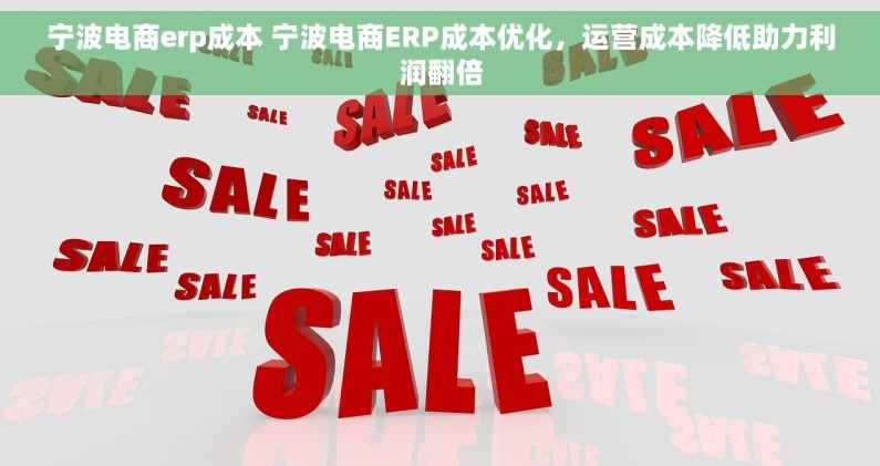 宁波电商erp成本 宁波电商ERP成本优化，运营成本降低助力利润翻倍