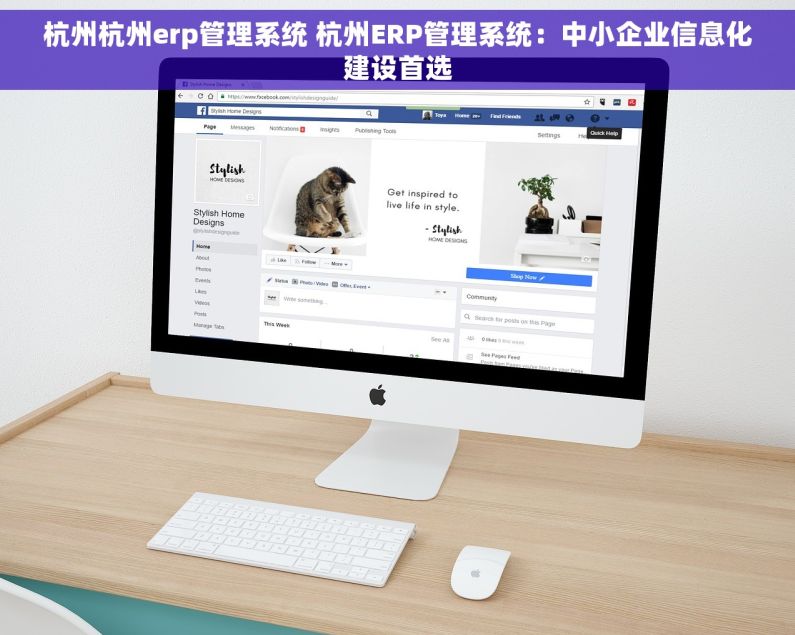 杭州杭州erp管理系统 杭州ERP管理系统：中小企业信息化建设首选