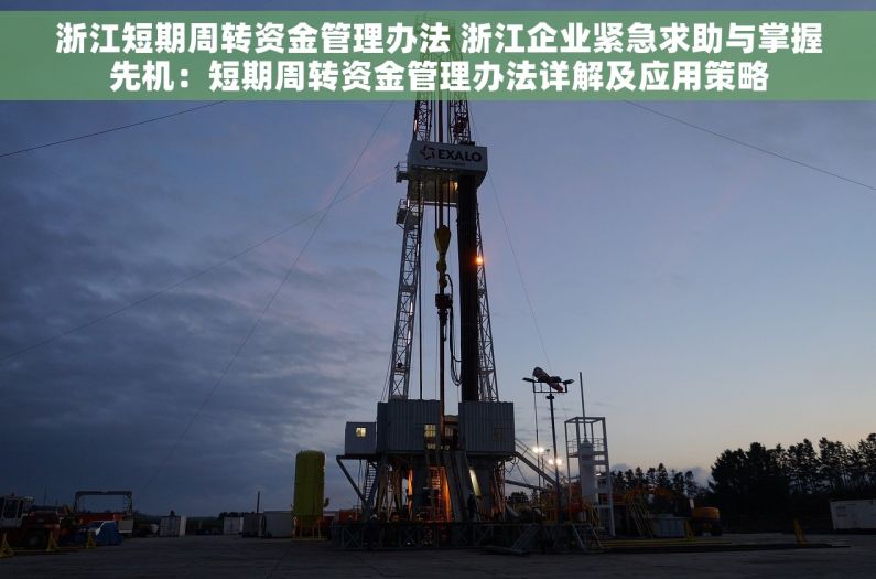 浙江短期周转资金管理办法 浙江企业紧急求助与掌握先机：短期周转资金管理办法详解及应用策略
