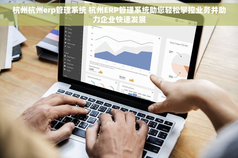杭州杭州erp管理系统 杭州ERP管理系统助您轻松掌控业务并助力企业快速发展