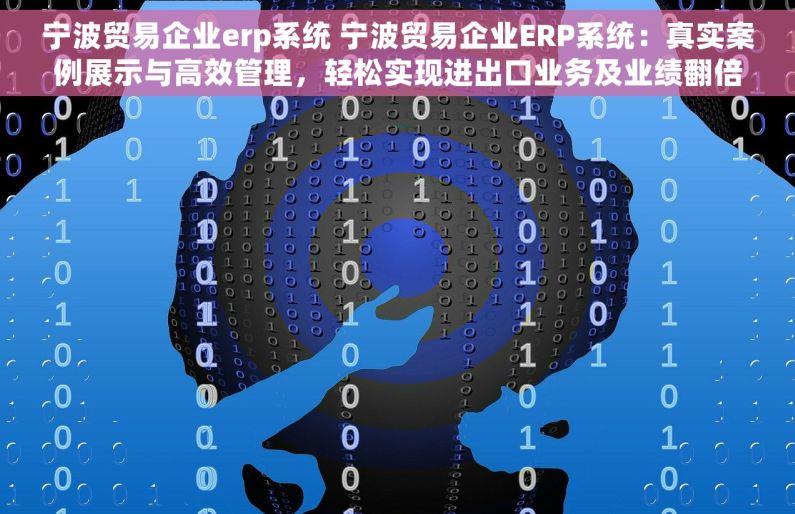 宁波贸易企业erp系统 宁波贸易企业ERP系统：真实案例展示与高效管理，轻松实现进出口业务及业绩翻倍