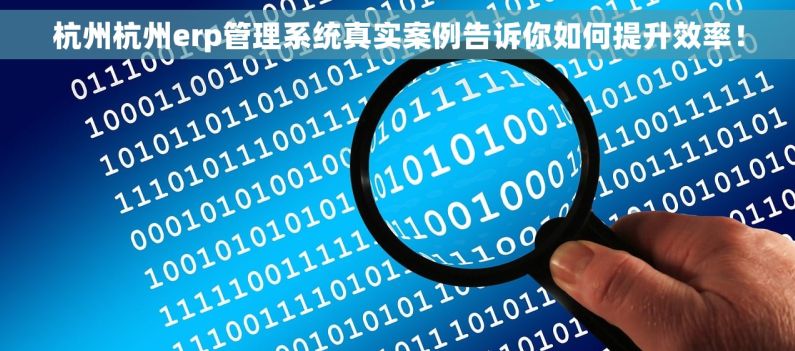 杭州杭州erp管理系统真实案例告诉你如何提升效率！