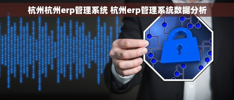 杭州杭州erp管理系统 杭州erp管理系统数据分析