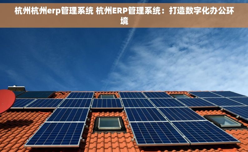 杭州杭州erp管理系统 杭州ERP管理系统：打造数字化办公环境